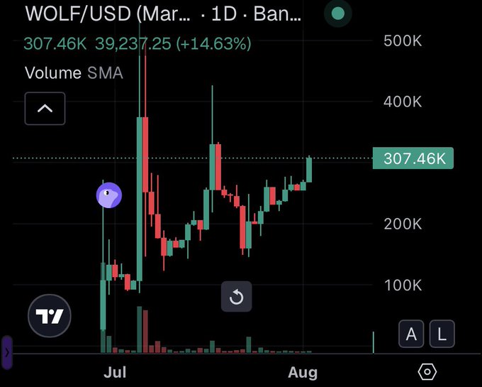 The image shows a WOLF/USD price chart (likely Wolf on Base) displaying a current value of 307.46K with a 14.63% gain, featuring daily candles from July through August with notable volatility spikes. The post's question about something "happening right now on Base" appears to be answered by this chart, suggesting WOLF is experiencing a significant pump with price action breaking out toward new highs.