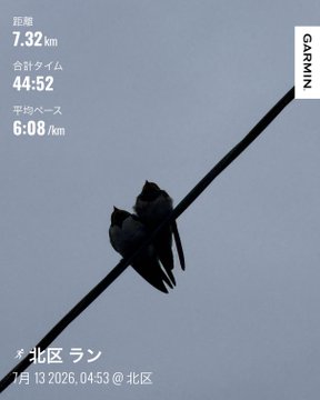 A Garmin running activity screenshot showing two birds perched on a wire against a twilight sky, with stats in Japanese including '7.32 km' distance, '44:52' time, and '#北区ラン' (Kita-ku Run).