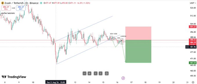 A TradingView chart for Zcash/TetherUS (Zcash/USDT) on Binance, showing a 1-hour candle graph with technical analysis annotations including a "NEW YORK FOREX LONDON" entry strategy, a trend line, and a green/red short position target.