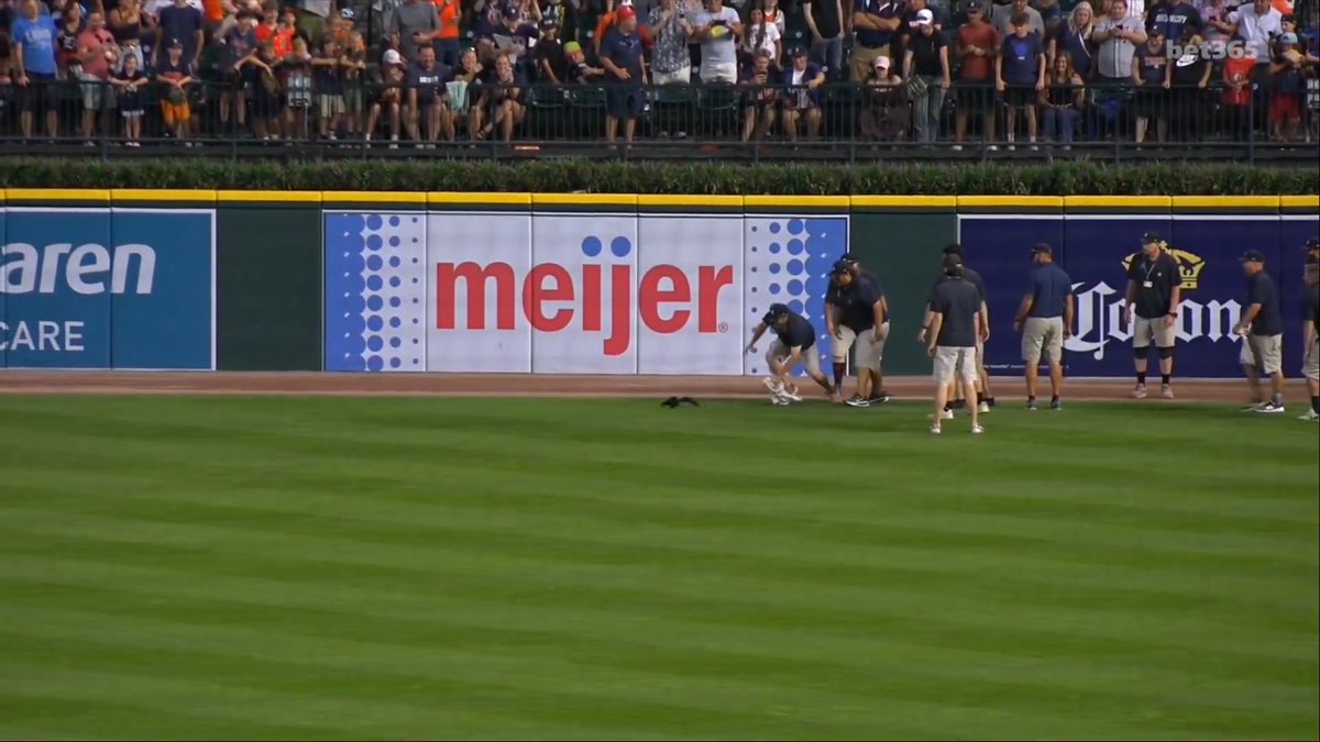 A baseball stadium scene with several staff members on the field near the outfield wall, which displays advertisements including a prominent "meijer" sign and a partial "Corona" logo. The post's text about a "6k gamble" appears to relate to a betting wager being made on this MLB game, with a cryptocurrency-style wallet address possibly indicating a crypto-based bet.