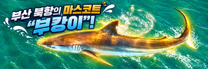 The banner image showcases a powerful shark breaching the surface of teal ocean waters, accompanied by Korean text translating to "Shark 'Bukangi'! The King of Busan Waters." The bold, fiery styling and dynamic composition align with the Moby community post about a community-created banner for the Solana token $bukangi, fittingly featuring a shark as its mascot.