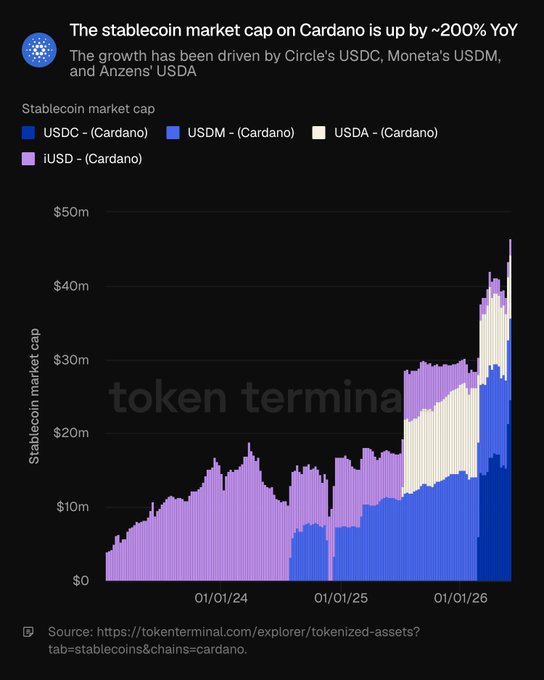 The image is a bar graph showing the growth of stablecoins on Cardano over time (from January 1st, 2021) against various factors such as Bitcoin, USDC, Circle's USDC, and Moneta's USDM. The graph shows a significant increase in stablecoin value due to factors like Bitcoin, USDC, Circle's USDC, and Moneta's USDC. There is also information about a "Taken Terminal" that could be related to the market cap or the trading activity of Cardano.