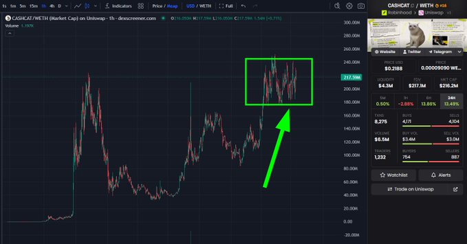 A CASHCAT/WETH chart on dexscreener.com with a green box and arrow highlighting a price region around 217.50M.