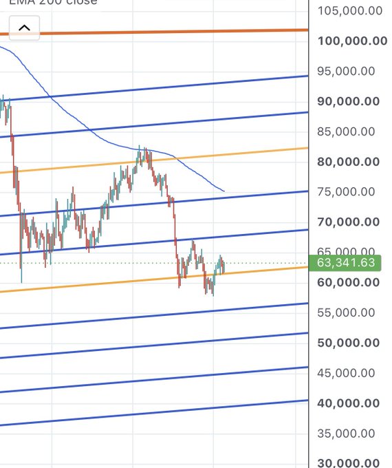 A cryptocurrency candlestick chart shows a price of 63,341.63 with an EMA 200 close indicator, displaying significant volatility with prices ranging from around 35,000 to 100,000 over the visible period, currently hovering near a support level around 60,000-65,000. The image relates to the post by visually representing the long-term holder's hope for the price to rise, as the chart shows recent consolidation at lower levels after a notable decline from higher highs.