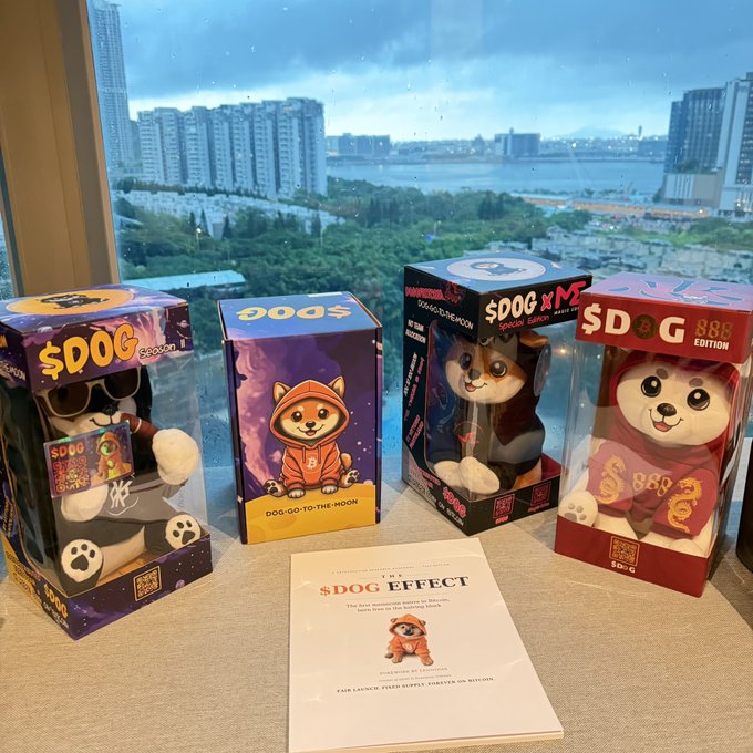 A collection of four $DOG crypto-themed dog plush toy figurines in packaging ($DOG, DOGS, $DOGxME, $DOG 888 Edition) displayed on a table with a cityscape view through the window and a "TRAD $DOG EFFECT" booklet.