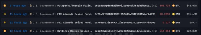 A screenshot showing U.S. Government cryptocurrency wallet transactions, including seized funds from FTX Alameda ($31.63M BNB), Bitfinex Hacker ($22.87M BTC), and Potapenko/Tuzgin Forfeiture ($48.69M BTC).