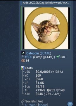 A screenshot of a crypto token tracker showing "Catecoin (SCATE)" with a $6K market cap, displayed alongside a hype post claiming the token surged from $6K to $7M in market cap, allegedly turning a $500 investment into $66,782 in five hours.