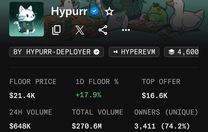 A screenshot of a cryptocurrency profile shows 'Hypurr' with a verified checkmark, a white cat avatar, and statistics including a floor price of $21.4K, a 24H volume of $648K, and a total volume of $270.6M.