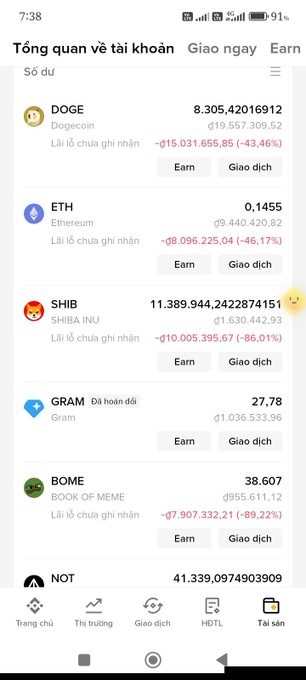 A Vietnamese-language cryptocurrency portfolio app screen showing DOGE, ETH, SHIB, GRAM, BOME, and NOT tokens with significant losses displayed in red.