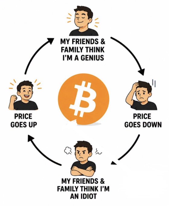 A circular meme diagram illustrates a Bitcoin price cycle, alternating between 'MY FRIENDS & FAMILY THINK I'M A GENIUS' (price goes up) and 'MY FRIENDS & FAMILY THINK I'M AN IDIOT' (price goes down) around a central Bitcoin logo.