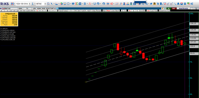 The image displays a candlestick chart for ticker $RIKS on RETAE exchange, showing the price (around 104.60) trading within a long-term ascending channel with visible support at 100.90–90.01 and nearby resistance levels marked at 107.63, 113.08, and 118.52, confirming the #betae technical analysis of a bullish channel structure.