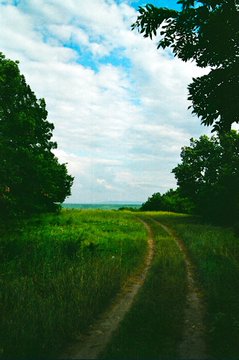 A scenic photo of a dirt path cutting through green grass fields, framed by trees under a cloudy blue sky.