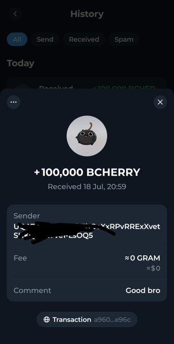 A screenshot of a crypto wallet transaction showing receipt of '+100,000 BCHERRY' received 18 Jul at 20:59 with a 'Good bro' comment.