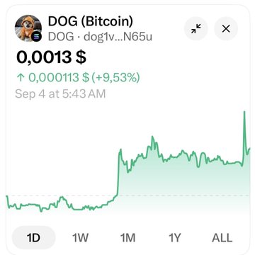 The image displays a cryptocurrency price chart for DOG (Bitcoin) showing a value of $0.0013, up $0.000113 (+9.53%) as of Sep 4 at 5:43AM, which visually supports the post's claim that $DOG has gained approximately 10% in the last 24 hours. The 1D timeframe chart shows a notable upward spike at the end of the period, aligning with the post's excitement about Runes potentially being "back" and $DOG reclaiming the $130M marketplace milestone.