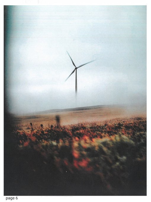 A moody, vintage-style photograph shows a wind turbine standing in a foggy field of red flowers, with 'page 6' printed in the bottom-left corner.