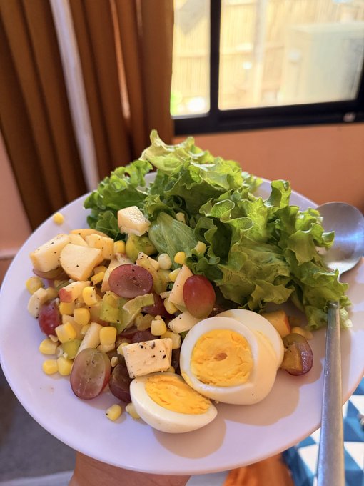 A hand holding a white bowl containing a salad with lettuce, corn, cheese, grapes, and a halved boiled egg.