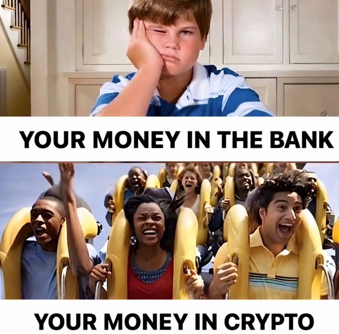 A two-panel meme: the top shows a bored boy labeled 'YOUR MONEY IN THE BANK', while the bottom shows screaming people on a roller coaster labeled 'YOUR MONEY IN CRYPTO'.