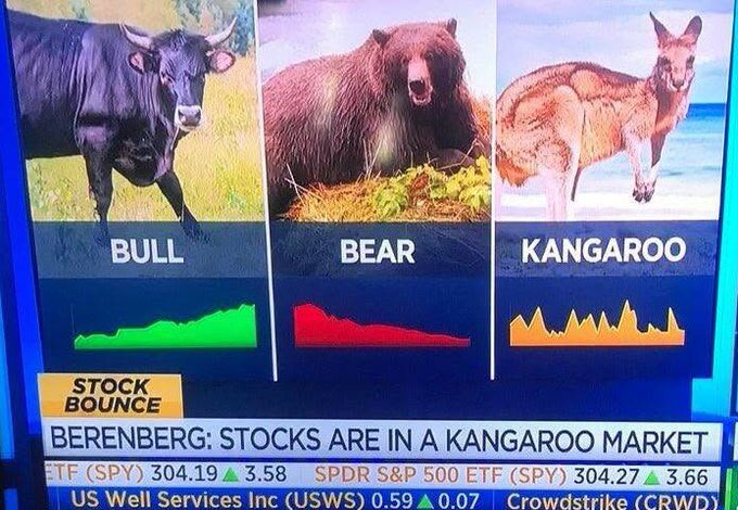 A financial news graphic comparing Bull, Bear, and Kangaroo markets with the headline 'BERENBERG: STOCKS ARE IN A KANGAROO MARKET,' showing stock ticker info including SPDR S&P 500 ETF (SPY).