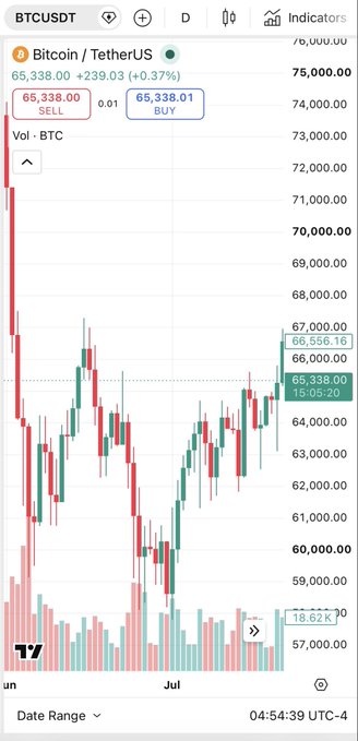 A TradingView BTCUSDT Bitcoin/TetherUS candlestick chart showing a current price of $65,338.00 (+0.37%), with sell at 65,338.00 and buy at 65,338.01, displaying price movement and volume for July.