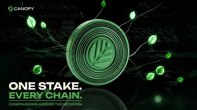 A promotional graphic featuring a green coin with a leaf emblem, surrounded by vines and glowing leaves, with the text 'CANOPY', 'ONE STAKE. EVERY CHAIN.', and 'COMPOUNDING ACROSS THE NETWORK'.