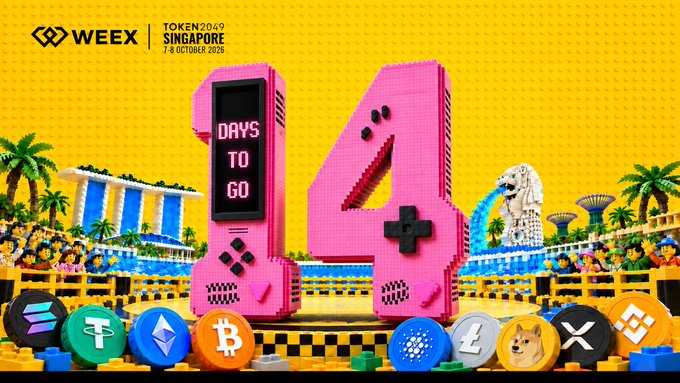 A promotional banner for 'WEEY TOKEN 2049 SINGAPORE' event on October 7-8, 2025, featuring pink LEGO-style '14 DAYS TO GO' graphics with various cryptocurrency logos.