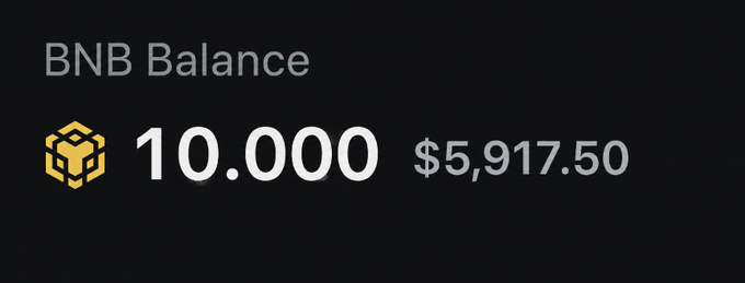 A digital wallet display shows a BNB Balance of 10.000 tokens, valued at $5,917.50, against a black background.