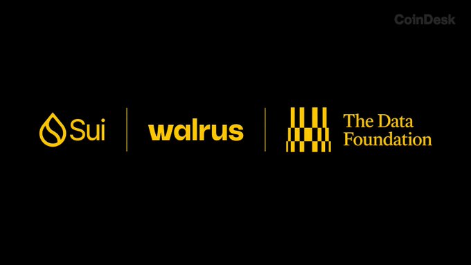 A graphic on a black background displaying the yellow logos for 'Sui', 'walrus', and 'The Data Foundation', with a 'CoinDesk' watermark in the top right.