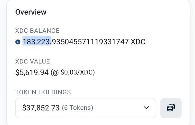 The image shows a screenshot of an overview screen for a cryptocurrency trading platform. It displays information about the balance of the account, including the amount of XPDC (XDC) balances held by the user. The screen also provides details on the current XPDC value and the number of tokens in the account.