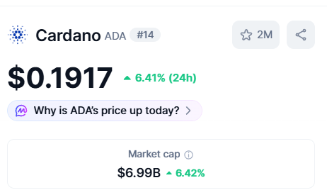 A crypto price tracker showing Cardano (ADA) ranked #14 at $0.1917, up 6.41% in 24 hours, with a market cap of $6.99B (up 6.42%).