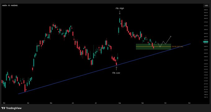 A daily candlestick chart of Amazon ($AMZN) on NASDAQ showing price action within an upward-sloping trendline, with annotations marking the "Fib High" near $215 and the "Fib Low" near $185, alongside a highlighted consolidation zone around the 0.618 Fibonacci retracement level (~$197.45) that the post identifies as a potential entry area.