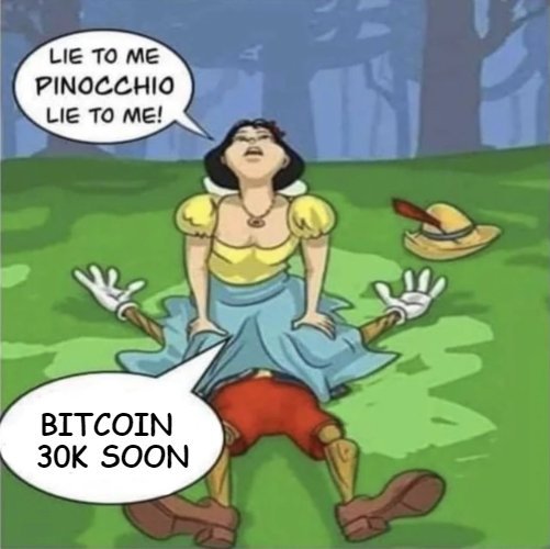 A meme featuring a distorted illustration of Snow White with Pinocchio-style wooden joints, with speech bubbles reading 'LIE TO ME PINOCCHIO LIE TO ME!' and 'BITCOIN 30K SOON'.