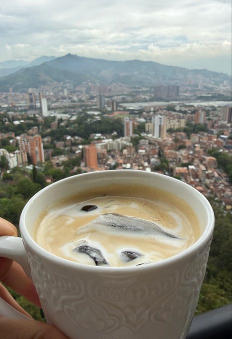 A hand holds a decorative white coffee mug with a frothy latte/iced coffee drink, set against a scenic overlook of a cityscape with mountains in the background.