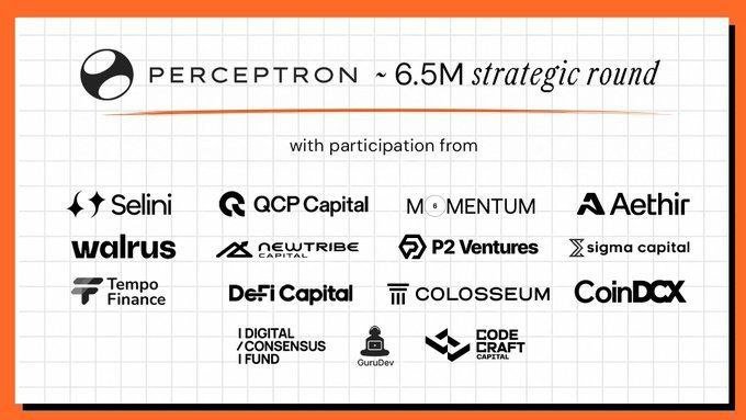 A graphic announces a 'PERCEPTRON ~6.5M strategic round' featuring logos of participating investors including Selini, QCP Capital, Momentum, Aethir, Walrus, NewTribe Capital, P2 Ventures, Sigma Capital, Tempo Finance, DeFi Capital, Colosseum, CoinDCX, Digital Consensus Fund, GuruDev, and Code Craft Capital.