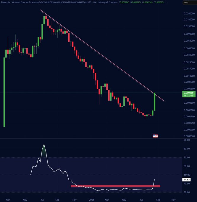 TradingView candlestick chart for 'Pineapple / Wrapped Ether on Ethereum (0x9C7fD08b58200b490cF8fDB1eF9b0a488E9b94325)' showing a downtrend with a trendline, and an RSI indicator at the bottom showing a value of 44.63 with a bullish divergence setup.