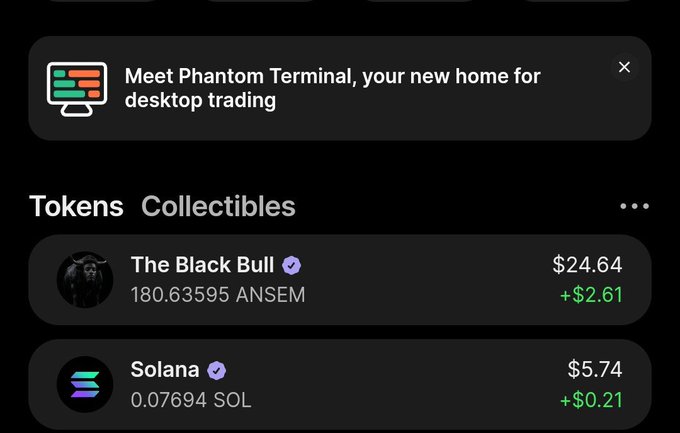 A Phantom Terminal desktop trading app interface showing token collectibles including 'The Black Bull' (ANSEM) at $24.64 (+$2.61) and Solana (SOL) at $5.74 (+$0.21).