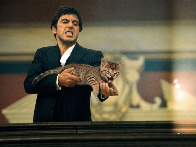 A man in a pinstripe suit grimacing while holding a hissing tabby kitten with its mouth wide open, appearing to be from a movie scene.