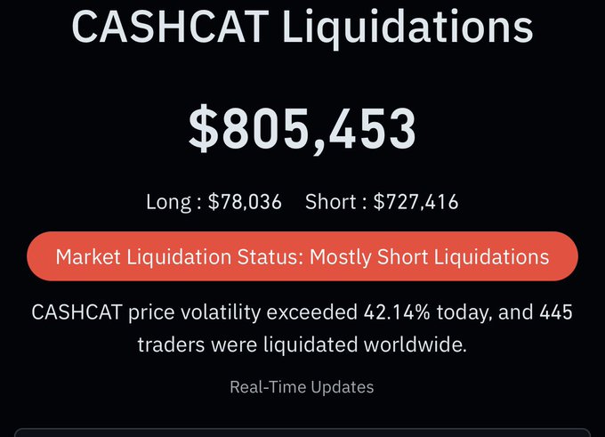 A statistics screen showing CASHCAT Liquidations totaling $805,453 (Long: $78,036, Short: $727,416), with a note that 445 traders were liquidated worldwide due to 42.14% price volatility.