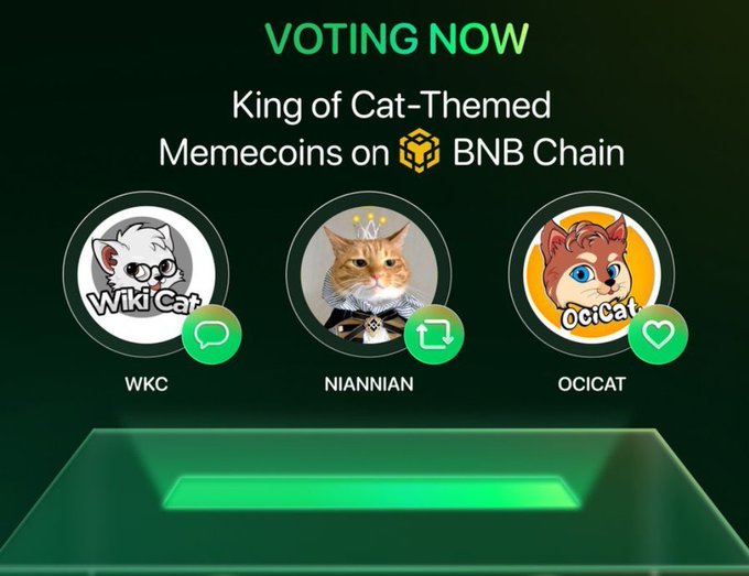 A voting promotion for 'King of Cat-Themed Memecoins on BNB Chain' featuring three candidates: WKC (WikiCat), NIANNIAN, and OCICAT, with voting buttons beneath each circular portrait.