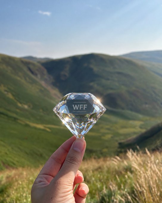 A hand holding a crystal diamond-shaped object engraved with 'WFF' against a backdrop of green hills and a blue sky.