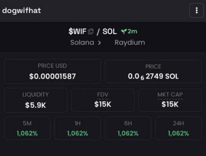 A screenshot from the "dogwifhat" token page on Raydium shows $WIF trading at $0.00001587 with only $5.9K liquidity and a $15K market cap, capturing the humble, early-stage valuation before the meme coin skyrocketed. It perfectly embodies the post's nostalgic reflection of a life-changing moment triggered by a single memecoin investment.