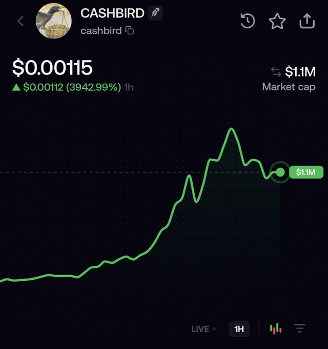 A cryptocurrency chart for 'CASHBIRD' showing a price of $0.00115, up 3942.99% over 1 hour, with a $1.1M market cap.