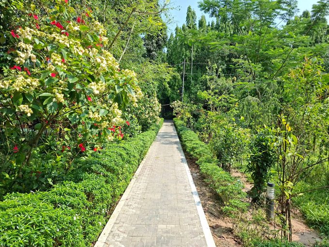 செர்கேர் செர்கேர் செர்கேர்