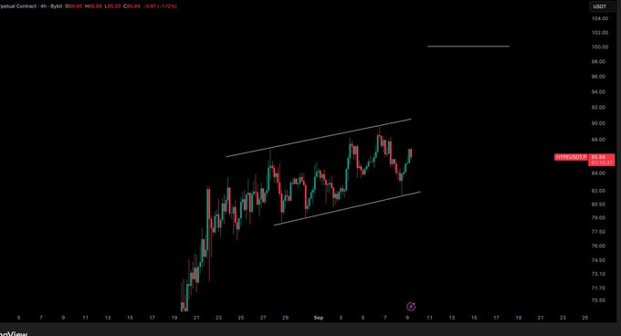 The image displays a 4-hour candlestick chart of the HYPE/USDT perpetual contract on the Bybit exchange, with the current price at 85.65 (down 1.17%), showing a bullish ascending channel pattern that aligns with the post's expectation for a "leg up" in price action.