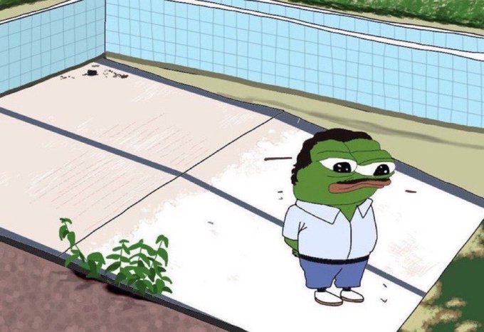 A cartoon image of the Pepe the Frog meme character standing in an empty tiled swimming pool wearing a white shirt and blue shorts.