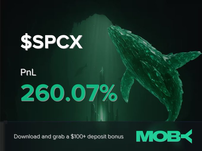The image features an underwater scene with a whale-like object that represents a green PnL figure, which stands out against the black backdrop. The picture includes text elements such as "SPCX" positioned at the top left corner of the image, and "PNL" placed in the center right area. Below this, there is another set of numbers representing the PnL, with a price of $6.33M MC for the whale-like object, which is the highest point reached by the figure in the image. The text on the image provides an explanation about the figures and their values, possibly related to trading or investing activities.