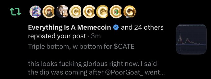 A repost notification from "Everything Is A Memecoin" (with 24 others) about a chart post titled "Triple bottom, w bottom for $CATE" is displayed, showing a line graph of price action; the circular profile pictures of the reposters feature matching $CATE-themed image templates, which ties into the accompanying post celebrating whoever created that unified profile picture template.