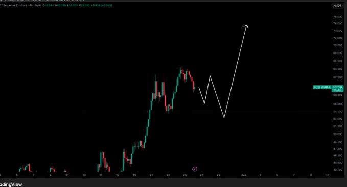The image shows a stock chart with a green line indicating a rise, while a red line suggests a fall. The chart displays the price movement of a company's stock over time. The caption above the chart reads "$HYPE / $USD - Update This would be healthy for us to get over next couple of days."