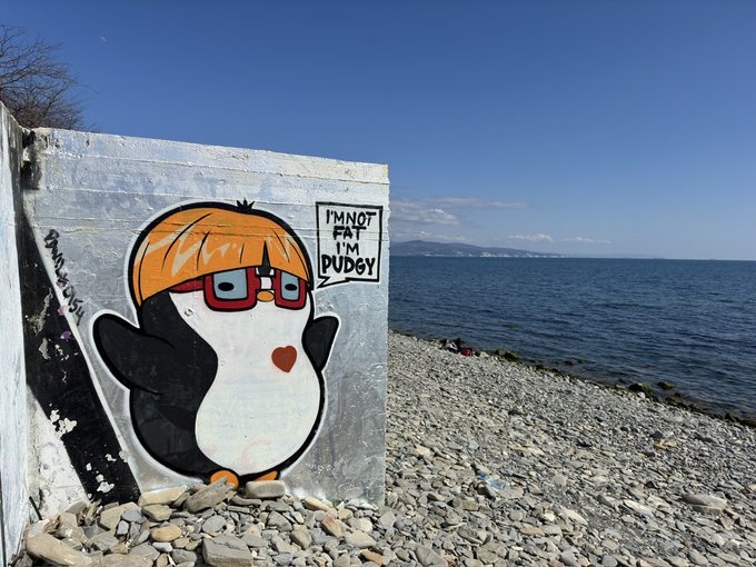 Street art on a concrete wall by the seaside depicts a cartoon penguin wearing orange hair and glasses, with a speech bubble reading 'I'M NOT FAT I'M PUDEY'.