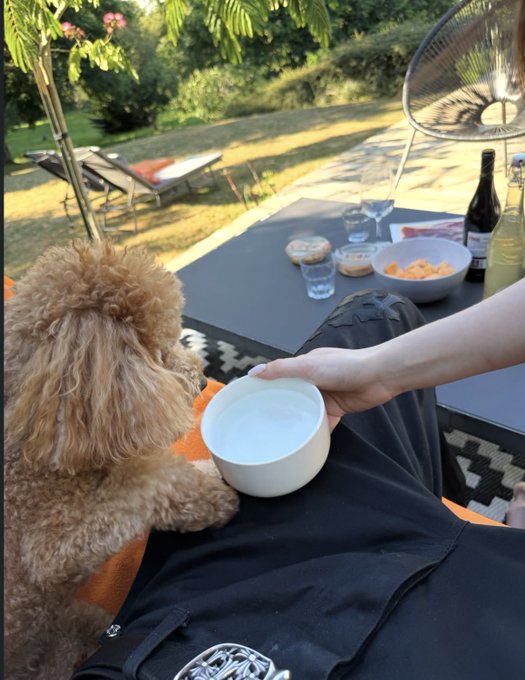 A fluffy brown dog sits beside a person at an outdoor patio table, where a hand extends a white bowl toward the pet amid snacks, wine glasses, and a bottle in the sunny garden setting. The casual, friendly moment aligns with the post's giveaway offer, using the relatable scene of someone sharing a relaxed afternoon with their pet to engage new followers.
