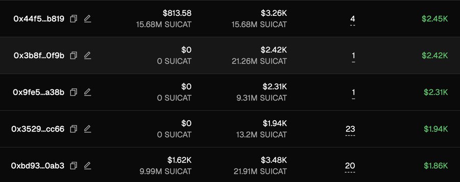 A dark-themed data table displays cryptocurrency wallet addresses with their corresponding USD balances, SUICAT token holdings, and transaction counts.